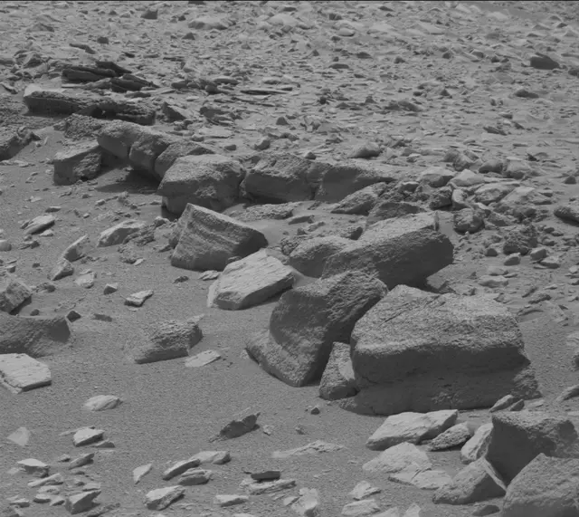 Sol 319: Mast Camera (Mastcam)