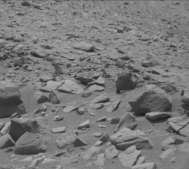 Sol 319: Mast Camera (Mastcam)