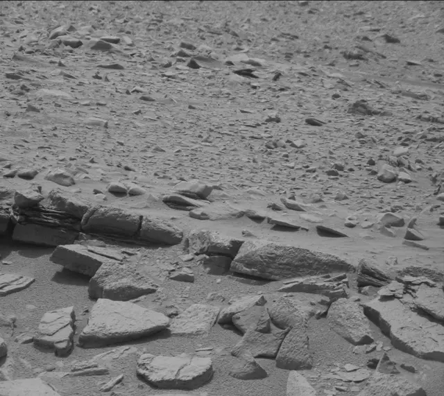 Sol 319: Mast Camera (Mastcam)
