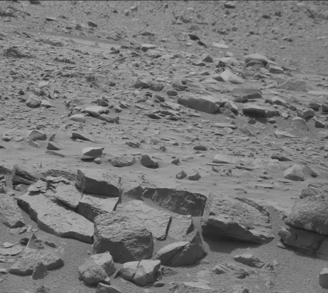 Sol 319: Mast Camera (Mastcam)