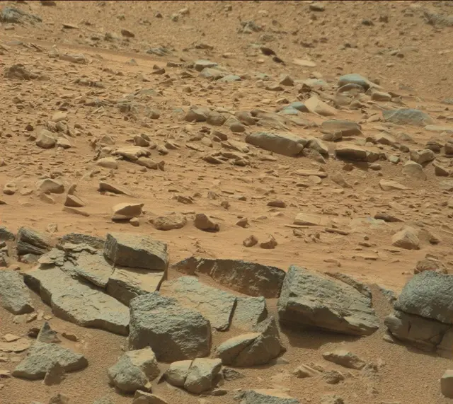 Sol 319: Mast Camera (Mastcam)