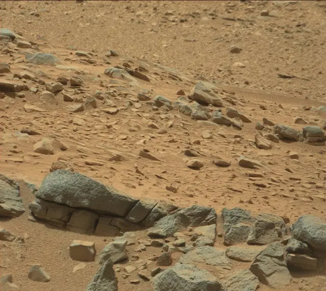 Sol 319: Mast Camera (Mastcam)