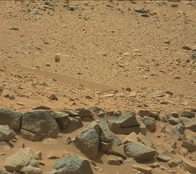 Sol 319: Mast Camera (Mastcam)