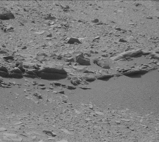 Sol 319: Mast Camera (Mastcam)