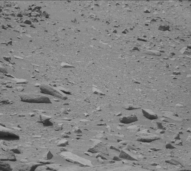 Sol 319: Mast Camera (Mastcam)