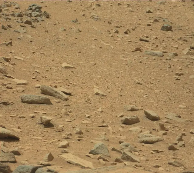Sol 319: Mast Camera (Mastcam)