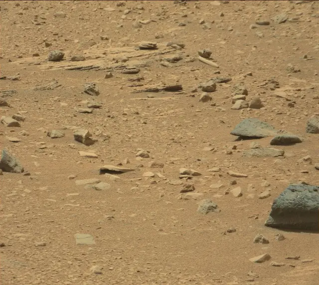 Sol 319: Mast Camera (Mastcam)