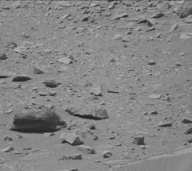 Sol 319: Mast Camera (Mastcam)