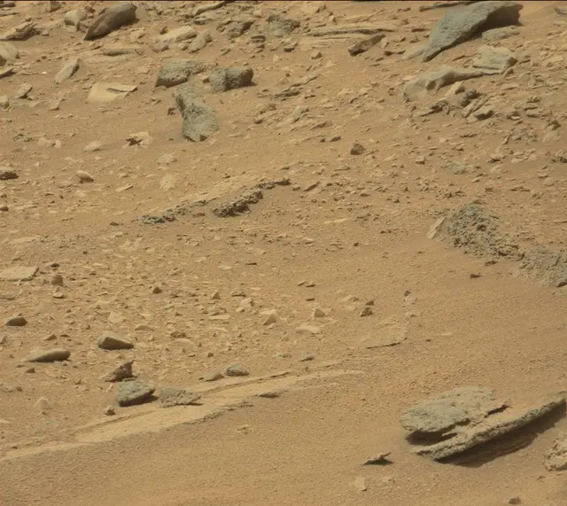 Sol 319: Mast Camera (Mastcam)