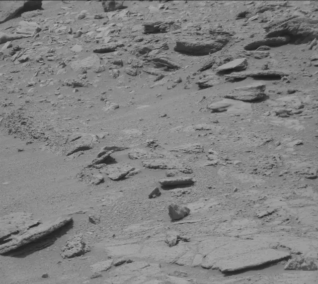 Sol 319: Mast Camera (Mastcam)