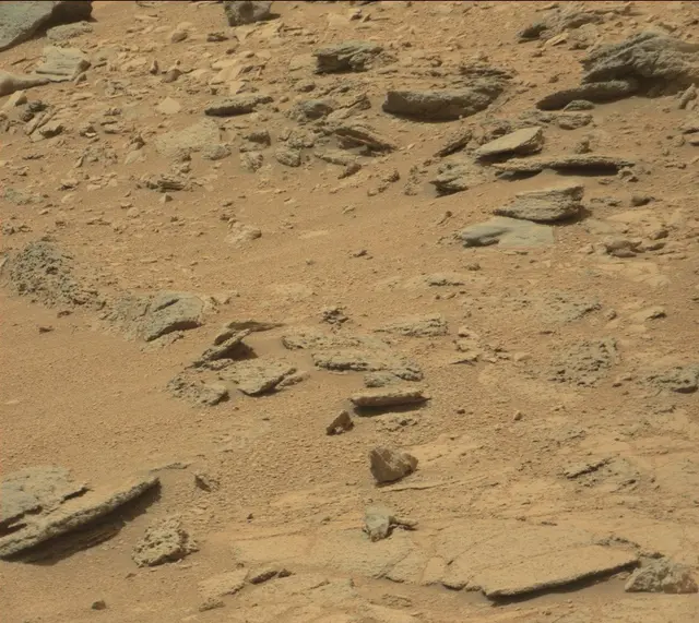 Sol 319: Mast Camera (Mastcam)