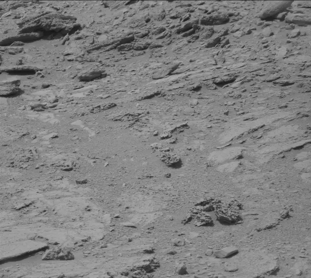 Sol 319: Mast Camera (Mastcam)