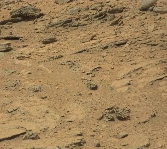 Sol 319: Mast Camera (Mastcam)