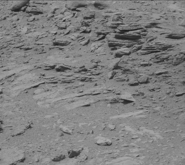 Sol 319: Mast Camera (Mastcam)