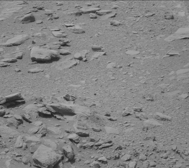Sol 319: Mast Camera (Mastcam)