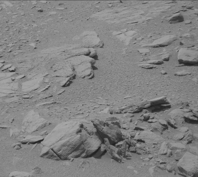 Sol 319: Mast Camera (Mastcam)
