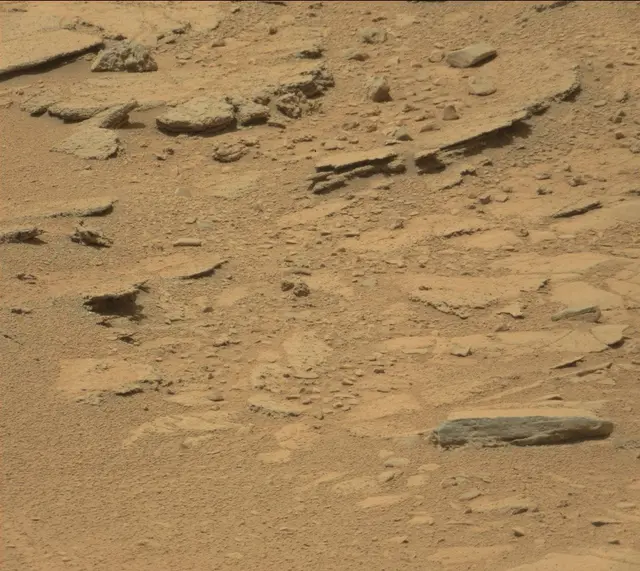 Sol 319: Mast Camera (Mastcam)