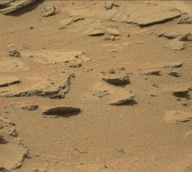 Sol 319: Mast Camera (Mastcam)