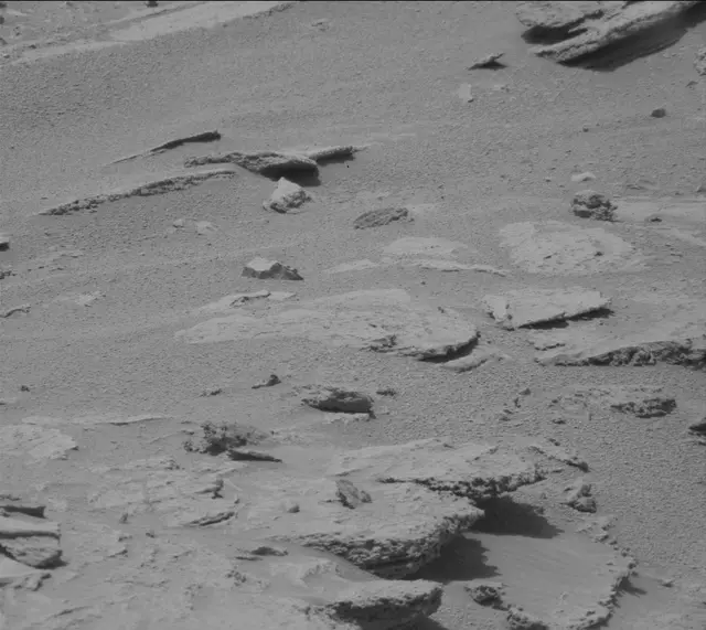 Sol 319: Mast Camera (Mastcam)