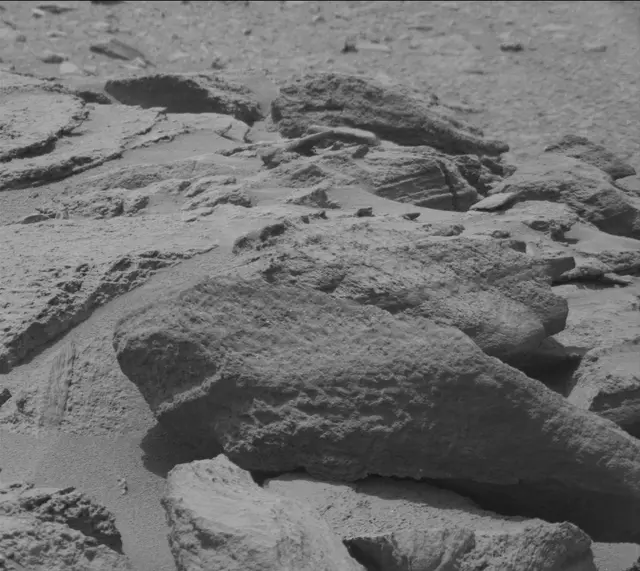 Sol 319: Mast Camera (Mastcam)