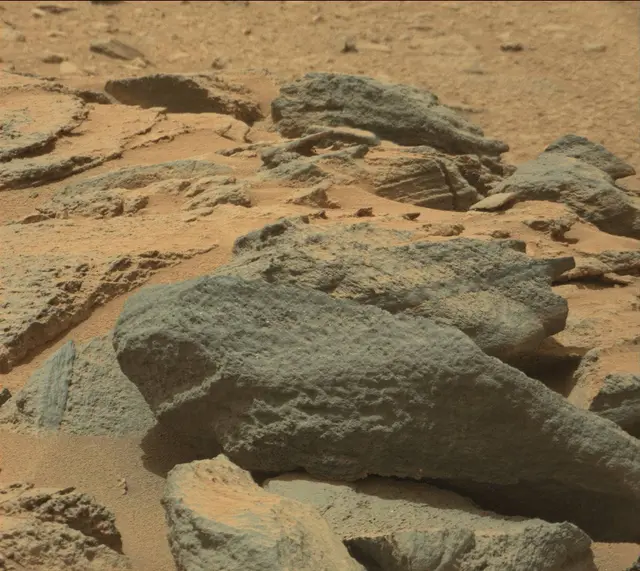 Sol 319: Mast Camera (Mastcam)