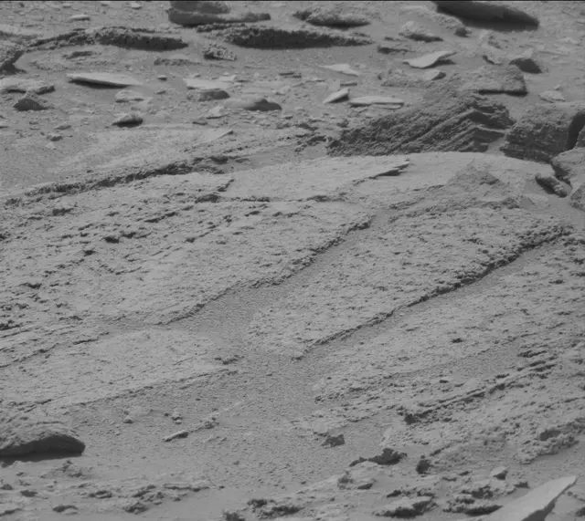 Sol 319: Mast Camera (Mastcam)
