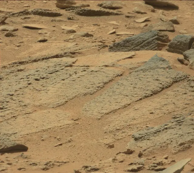 Sol 319: Mast Camera (Mastcam)