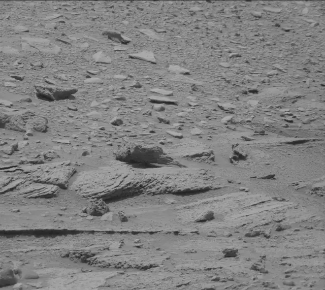 Sol 319: Mast Camera (Mastcam)