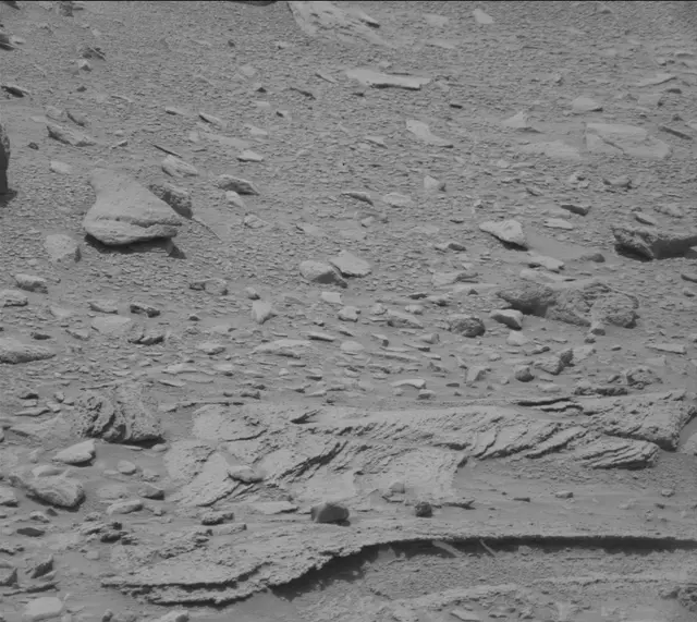 Sol 319: Mast Camera (Mastcam)