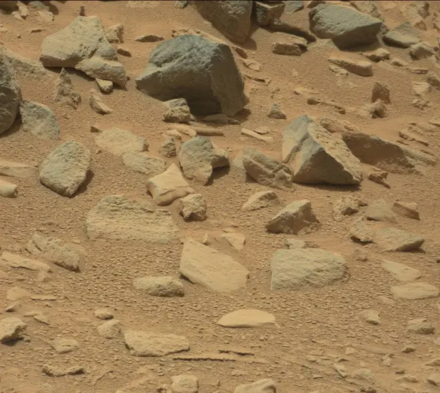 Sol 319: Mast Camera (Mastcam)