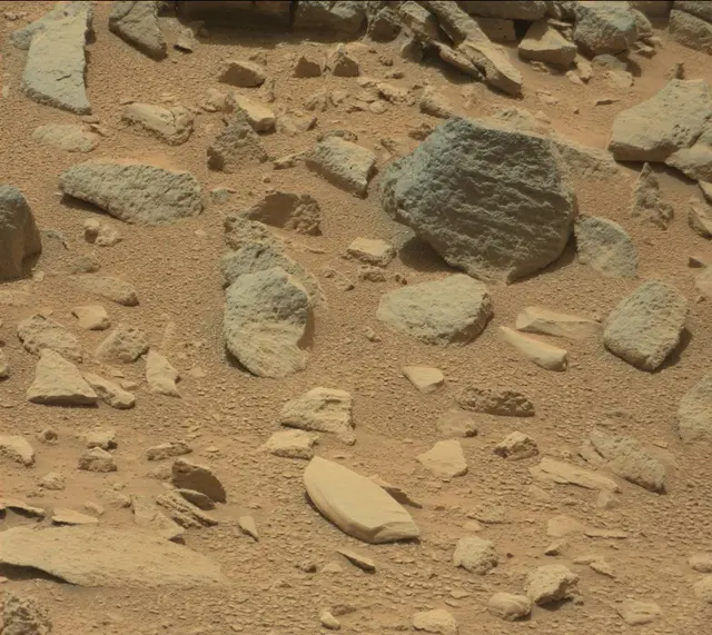Sol 319: Mast Camera (Mastcam)