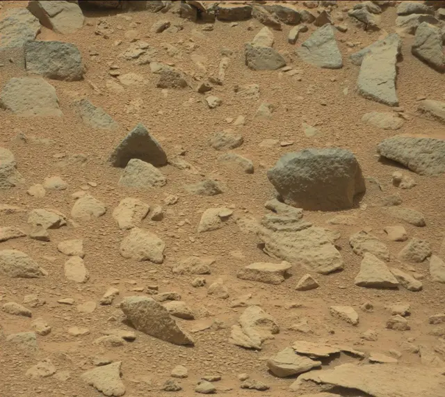 Sol 319: Mast Camera (Mastcam)