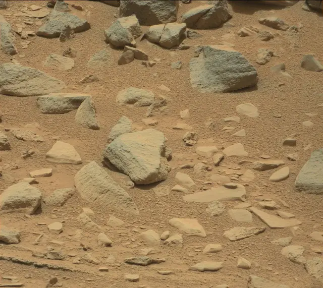 Sol 319: Mast Camera (Mastcam)