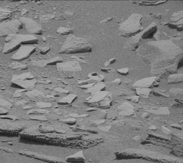 Sol 319: Mast Camera (Mastcam)