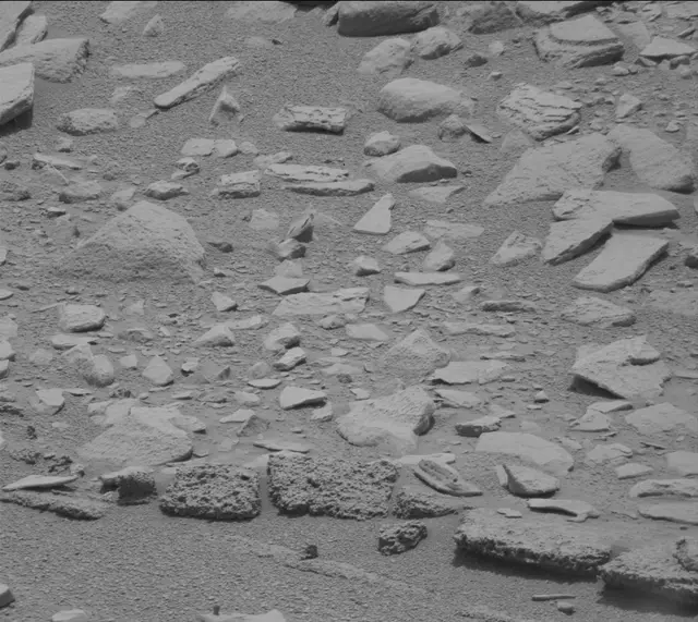 Sol 319: Mast Camera (Mastcam)
