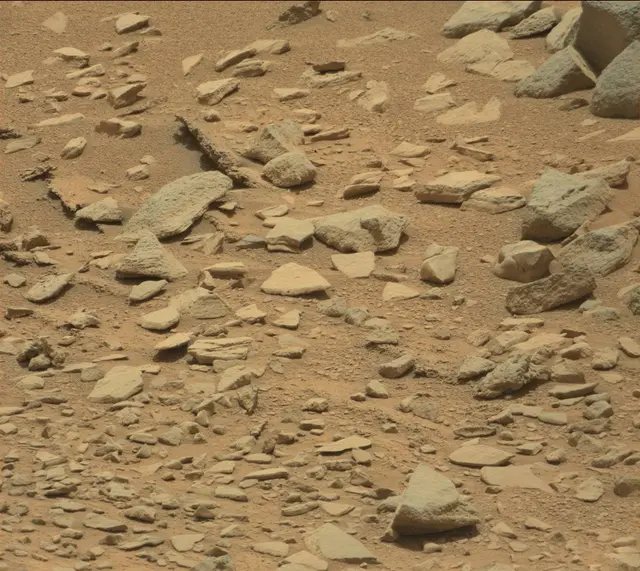 Sol 319: Mast Camera (Mastcam)