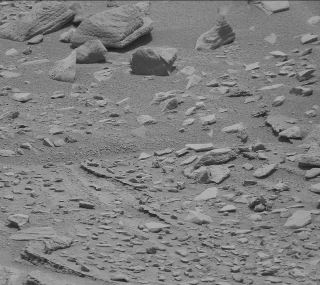 Sol 319: Mast Camera (Mastcam)
