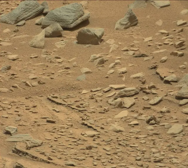 Sol 319: Mast Camera (Mastcam)