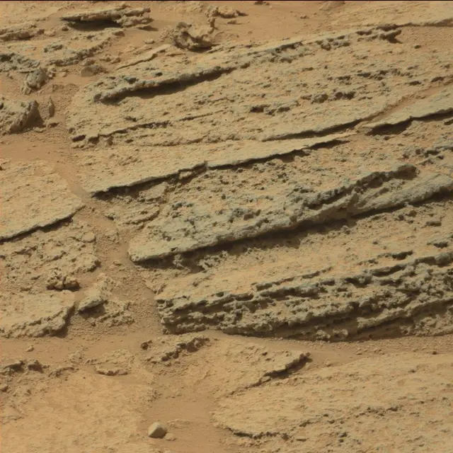 Sol 319: Mast Camera (Mastcam)