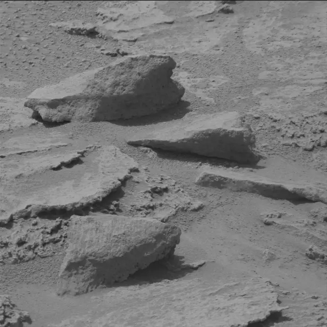 Sol 319: Mast Camera (Mastcam)