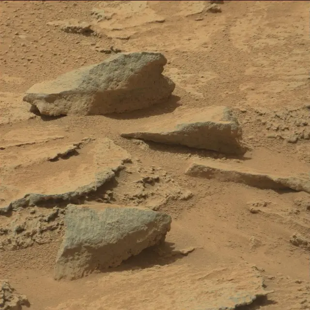 Sol 319: Mast Camera (Mastcam)