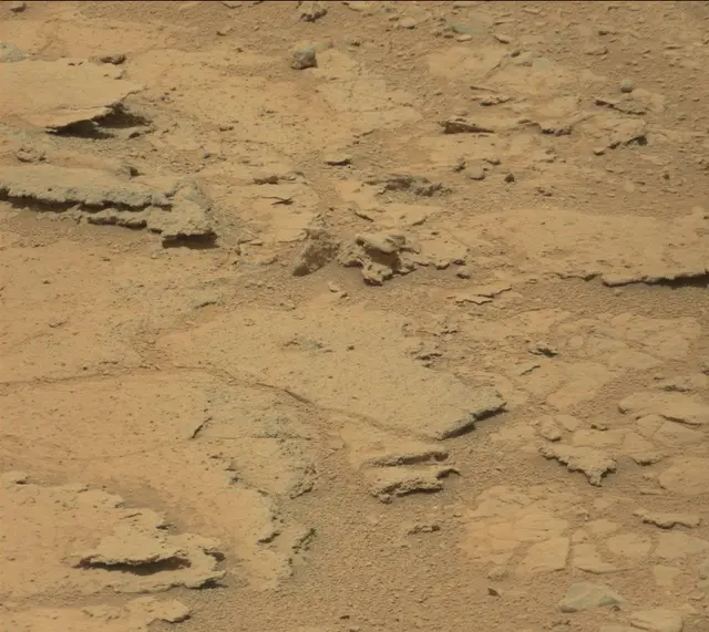 Sol 319: Mast Camera (Mastcam)