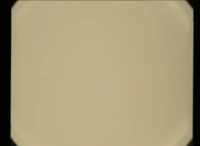Sol 320: Mast Camera (Mastcam)