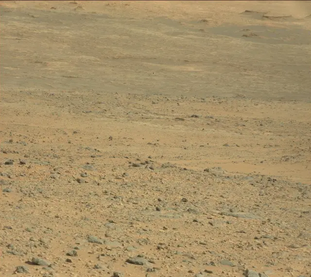 Sol 323: Mast Camera (Mastcam)