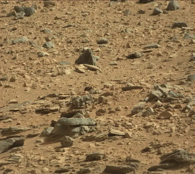 Sol 323: Mast Camera (Mastcam)