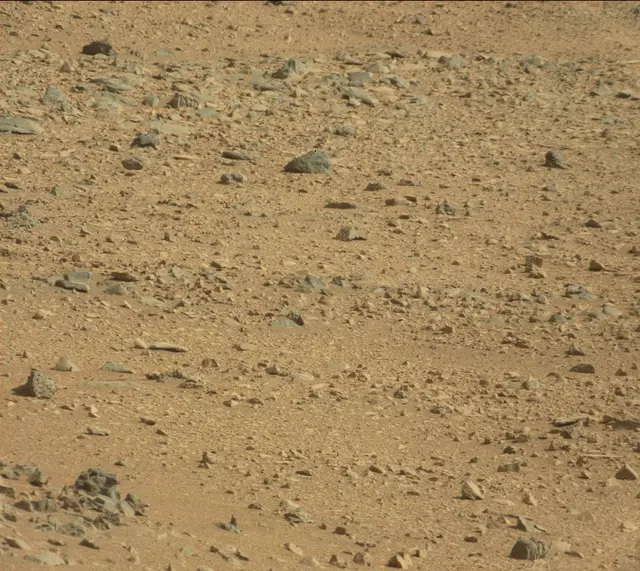 Sol 323: Mast Camera (Mastcam)