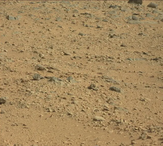Sol 323: Mast Camera (Mastcam)