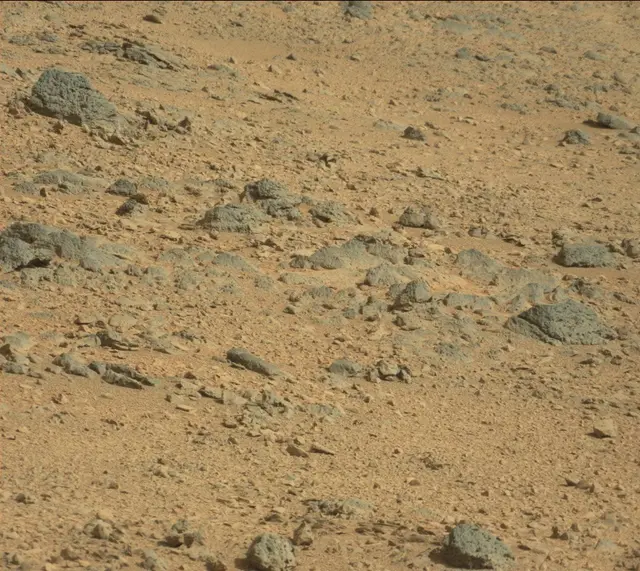 Sol 323: Mast Camera (Mastcam)