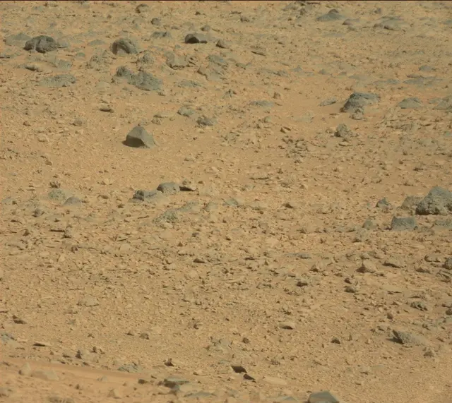 Sol 323: Mast Camera (Mastcam)