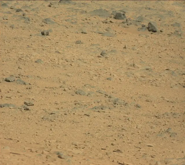 Sol 323: Mast Camera (Mastcam)